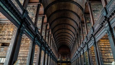 Ireland Has Too Many Universities and... Wants More? - AppliedHE