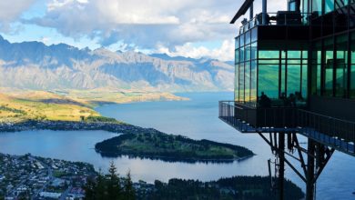 New Zealand Considers Re-Opening to International Students - AppliedHE