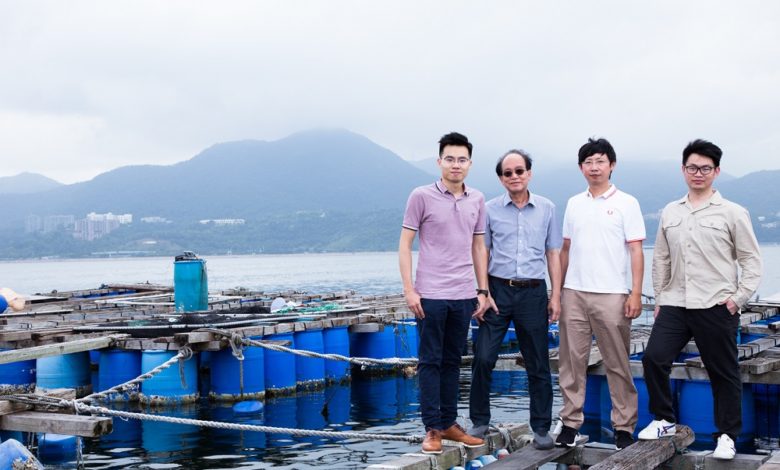 EdUHK Researchers Discover a Single Solution to Multiple Challenges: Turning Fish Feed from Food Waste - AppliedHE