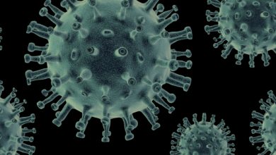 Coronavirus Can Survive 28 days on Glass, Banknotes and Stainless Steel - AppliedHE