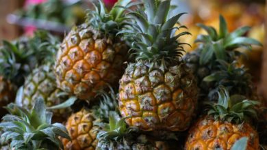 Pineapple Waste Commercialisation - AppliedHE