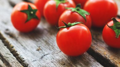 Recycled Water Proves Fruitful for Greenhouse-Grown Tomatoes - AppliedHE