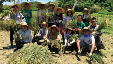 HKU Rural Sustainability Programme wins UNESCO Asia-Pacific Awards for Cultural Heritage Conservation - AppliedHE