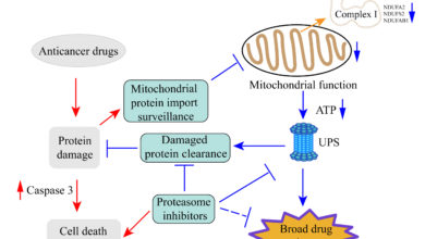 UM achieves major breakthrough in cancer drug resistance research - AppliedHE