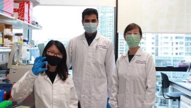 NTU Singapore scientists develop oral insulin nanoparticles that could one day be an alternative to injections - AppliedHE