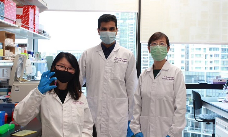 NTU Singapore scientists develop oral insulin nanoparticles that could one day be an alternative to injections - AppliedHE