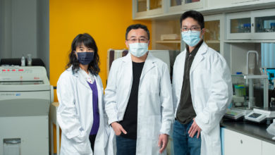 HKBU researchers develop dual-targeting drug for EBV-related cancers - AppliedHE