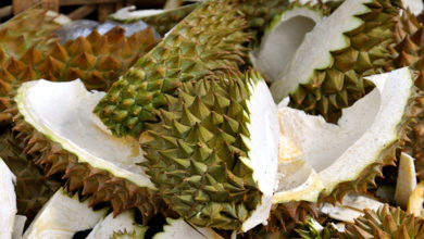 Making antibacterial gel bandage using discarded durian husks - AppliedHE