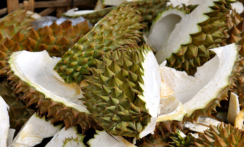 Making antibacterial gel bandage using discarded durian husks - AppliedHE