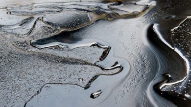 Singapore and South Korea scientists develop pollen sponge that could tackle marine oil spills - AppliedHE