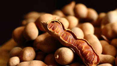 NTU Singapore scientists convert tamarind shells into an energy source for vehicles - AppliedHE