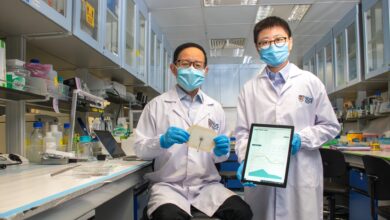 NUS researchers develop world’s first smart bandage that detects multiple biomarkers for onsite chronic wound monitoring - AppliedHE