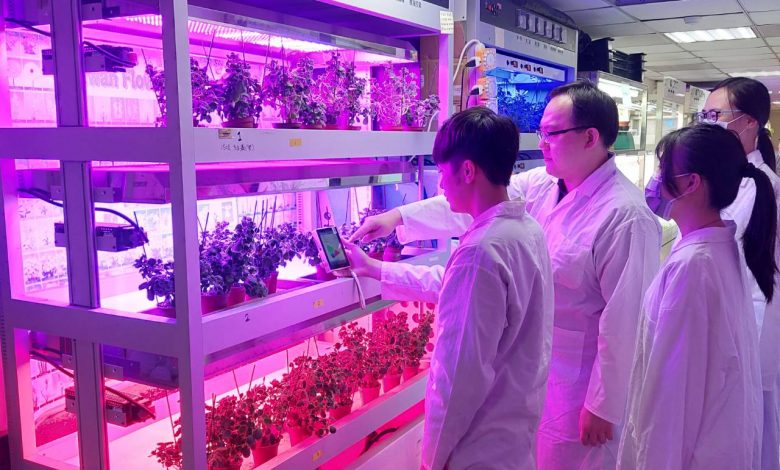 Accomplishment of researches on physiological and molecular responses to biotic and abiotic stresses in crops by Dept. of Horticulture and Biotechnology of Chinese Culture University - AppliedHE