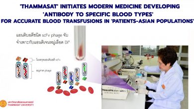 'Thammasat' initiates modern medicine developing 'antibody to specific blood types' for accurate blood transfusions in 'Patients-Asian Populations' - AppliedHE