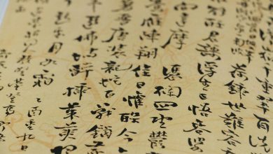 Chinese language gaining popularity worldwide, says envoy - AppliedHE