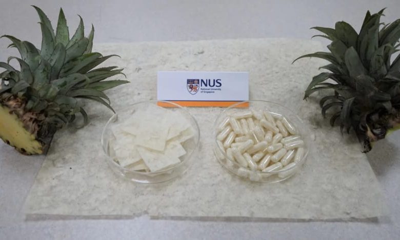 NUS researchers upcycle pineapple leaves into low-cost fat trappers - AppliedHE