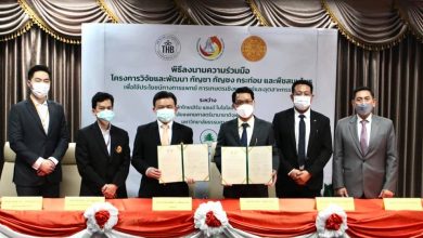 The Memorandum of Understanding between Chulabhorn International College of Medicine (CICM), Thammasat University, and Thai Herbs and Biologies Co., Ltd. (THB) - AppliedHE