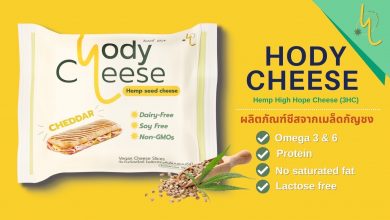 'Hody Cheese', plant-based cheddar cheese from hemp seeds, the food innovation of the future - AppliedHE