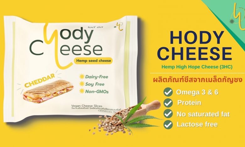 'Hody Cheese', plant-based cheddar cheese from hemp seeds, the food innovation of the future - AppliedHE