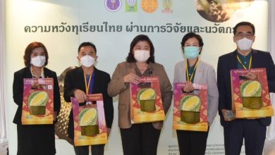 Thammasat Researchers adopted interdisciplinarity, increasing the production standard of Thai durian - AppliedHE