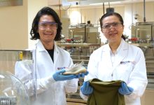 NUS Advances Synthetic Biology to Drive a Sustainable Future - AppliedHE