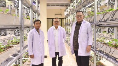 Visit by Coordinating Minister for Food to IPB University: Prioritizing Seed Investment for National Food Security - AppliedHE