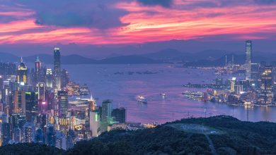 Hong Kong poised to further excel as international hub for higher education - AppliedHE