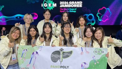 PolyU Students Secure Gold in iGEM 2024 for Innovative Dual-Targeting Nanobody Against Pancreatic Cancer Drug Resistance - AppliedHE