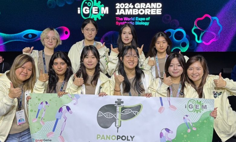 PolyU Students Secure Gold in iGEM 2024 for Innovative Dual-Targeting Nanobody Against Pancreatic Cancer Drug Resistance - AppliedHE