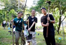 Sustainability Initiatives: Exploring Environmental Challenges and Creating the Greenest Campus in Singapore - AppliedHE