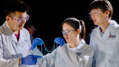 NUS Innovates Self-Healing, Light-Emitting Robotic Fibres with Magnetic Properties for Smart Textiles and Robotics - AppliedHE