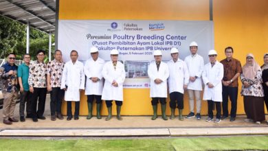 IPB University Launches Poultry Breeding Center for Enhanced Local Poultry Production - AppliedHE