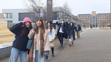 Tohoku University Japanese Programme Winter 2025: Language and Cultural Immersion - AppliedHE