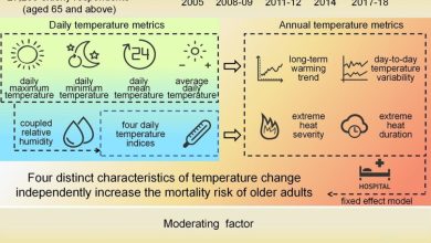 Master's Student Yao Xin Publishes Climate Change Research on Elderly Mortality in Science Advances - AppliedHE