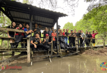 Jesselton University College Joins Tide to Thrive Program in Mangrove Cleaning Initiative to Beat Plastic Pollution - AppliedHE