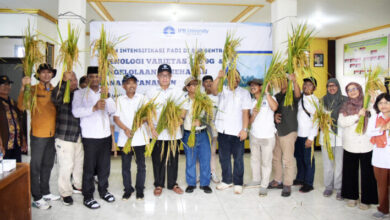 Implementation of IPB 9G Rice to Address 100 Hectares of Dry Land in Pamijahan - AppliedHE