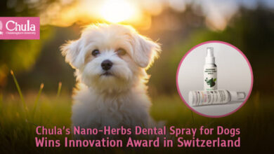 Chulalongkorn University’s Nano-Herbs Dental Spray for Dogs Awarded Bronze Medal at Innovation Exhibition in Switzerland - AppliedHE