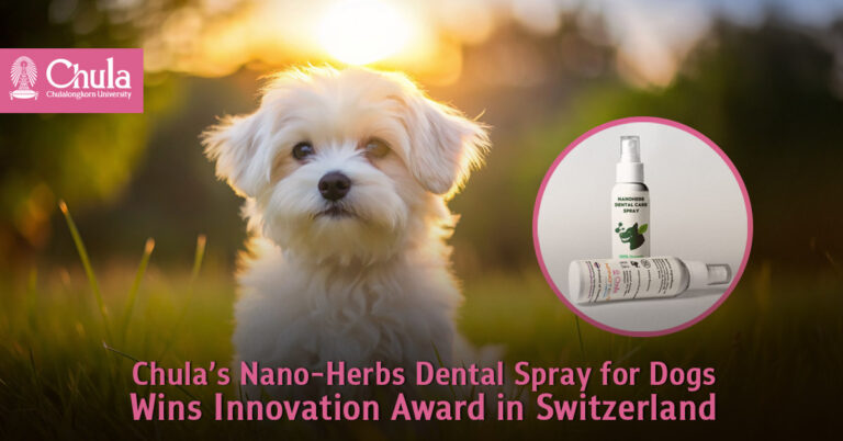 Chulalongkorn University’s Nano-Herbs Dental Spray for Dogs Awarded Bronze Medal at Innovation Exhibition in Switzerland - AppliedHE Chulalongkorn University’s Nano-Herbs Dental Spray for Dogs Awarded Bronze Medal at Innovation Exhibition in Switzerland - AppliedHE