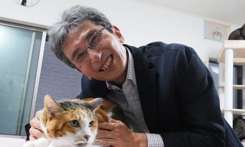 Unlocking the Genetic Secret Behind Orange Fur in Cats: Discovering the 'Meow-tation' - AppliedHE Unlocking the Genetic Secret Behind Orange Fur in Cats: Discovering the 'Meow-tation' - AppliedHE