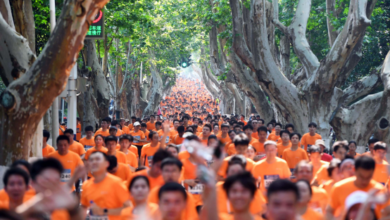 Healthy Running Event at Huazhong University: Celebrating the "Most Beautiful Forest University" - AppliedHE