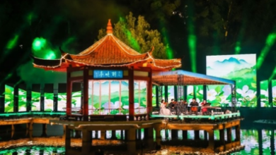 2025 HUST Graduation Concert at Zuiwan Pavilion: A Celebration of Achievement - AppliedHE