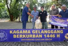 Ganjar Pranowo Distributes Sacrificial Animals to Merapi Slope Residents with Kagama Gelanggang - Universitas Gadjah Mada - AppliedHE