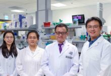 HKUMed's Innovative Combined Therapy with Astragalus and Methotrexate to Combat Autoimmune Disease Drug Resistance - AppliedHE
