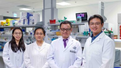 HKUMed's Innovative Combined Therapy with Astragalus and Methotrexate to Combat Autoimmune Disease Drug Resistance - AppliedHE