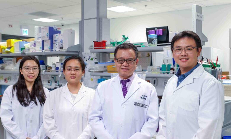 HKUMed's Innovative Combined Therapy with Astragalus and Methotrexate to Combat Autoimmune Disease Drug Resistance - AppliedHE HKUMed's Innovative Combined Therapy with Astragalus and Methotrexate to Combat Autoimmune Disease Drug Resistance - AppliedHE