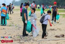 WOW 2025: UMT's Commitment to UNESCO's World Oceans Day Celebration - AppliedHE