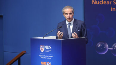 Singapore's Research Strengths Fuel Nuclear Energy Adoption, Says UN Nuclear Chief - AppliedHE