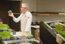 Culinary Journeys at UOW Malaysia: Elevating Skills & Flavours in Chef Training - AppliedHE