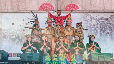 MSU Sarathnic Fest 2025: Celebrating Diversity and Sustainable Development at Management and Science University - AppliedHE