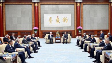 Chinese Vice Premier He Lifeng's Meeting with Tsinghua University Economic Advisors - AppliedHE